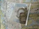 Sierra Marine #18-7219 Carburetor Kit.