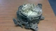 Mercruiser Rochester 4bbl Carburetor Quadrajet Marine 5.0L-5.7L-305"-350"