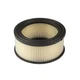 Briggs & Stratton Air Cleaner Cartridge Filter | 392286 OEM - Replacement Pa