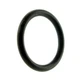 Polaris New OEM Propulsion Rubber O-Ring, 5410734