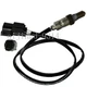 Motorcycle Oxygen Sensor For YAMAHA SX190 240 AR190 240 2012-2020 6DE8592A0000