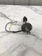 90 Baja 190 DSR Boat gas fuel level Sensor sending unit KUS 001305K
