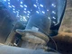 Bendix AD-IP Air Dryer - Used