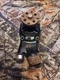 Water Pump 65142A1 Mercruiser