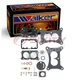 Walker 15126A Carburetor Repair Kit for R1974AAS R1974A R1952AAS R1952AAA we