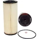Racor 2020V30 Replacement Element for Turbine Fuel Filter/Water Seperator