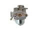 Boat Motor 16100-ZW6-716 Carburetor Carb Assy - Honda Outboard BF 2HP BF2 Engine