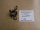 89-818997A Mercury 1993 90hp ELPTO Outboard solenoid T129