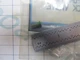 21-64871 Mercury Mariner Outboard Engine Check Valve NLA 21-64871 Mercury Mariner Outboard Engine Check Valve NLA