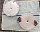 Used Mercruiser Flame Arrestor Zenith B175-42