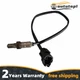 Oxygen Sensor For Yamaha 2013-2023 SX190 240 AR190 240 6DE-8592A-00