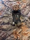 Water Pump 65142A1 Mercruiser