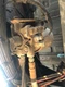 Bendix AD-IP Air Dryer - Used
